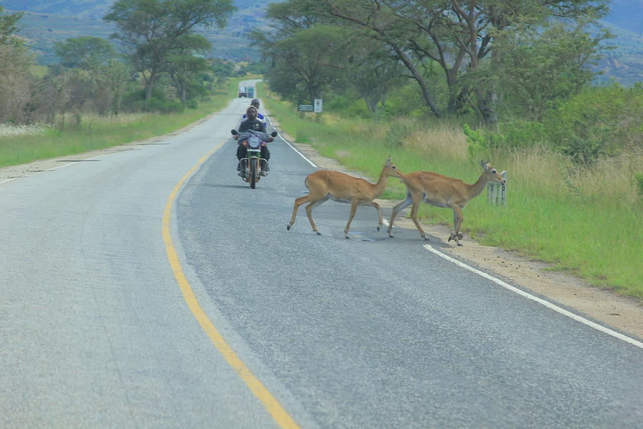 Wild Tracks Overland Camp Kasese Bagian luar foto